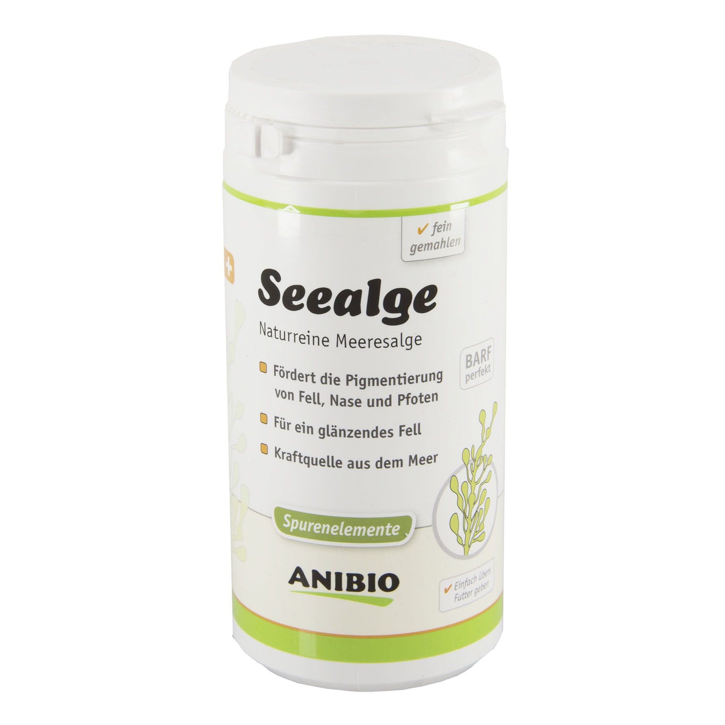 Anibio Seealge