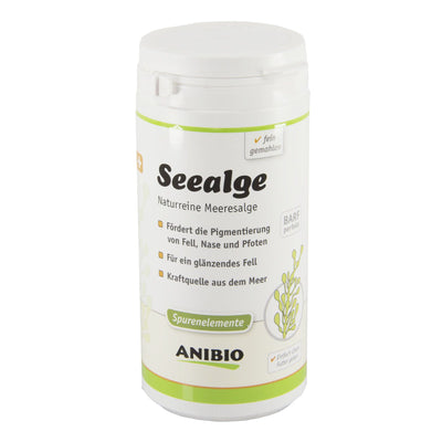 Anibio Seealge