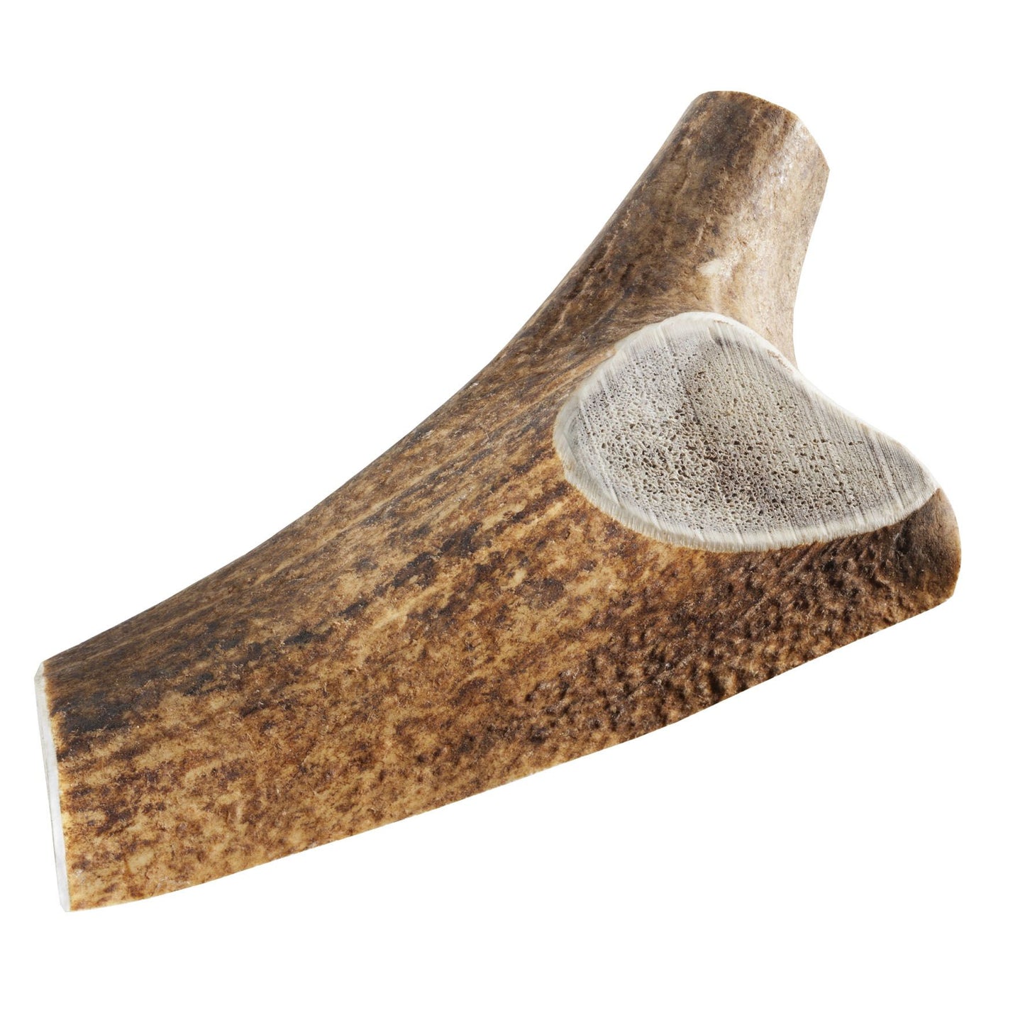 Chewies Rothirsch-Geweihstange XL halb