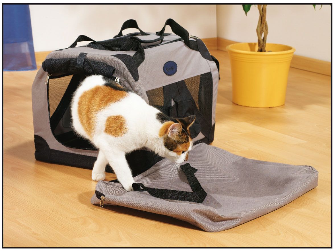 Transportbox Explorer