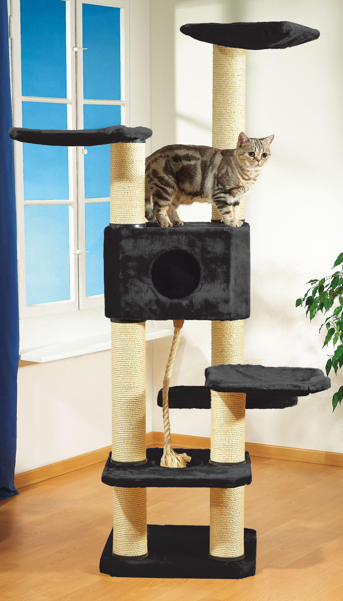 swisspet Kratzbaum Annabelle sw