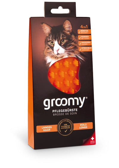 groomy cat - Langhaar