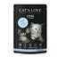 CAT'S LOVE Junior Kalb