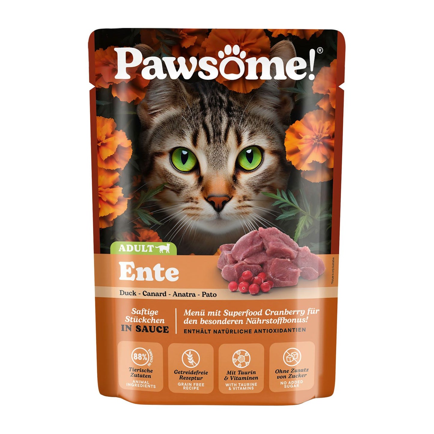 Pawsome Adult Ente
