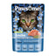 Pawsome Adult Lachs