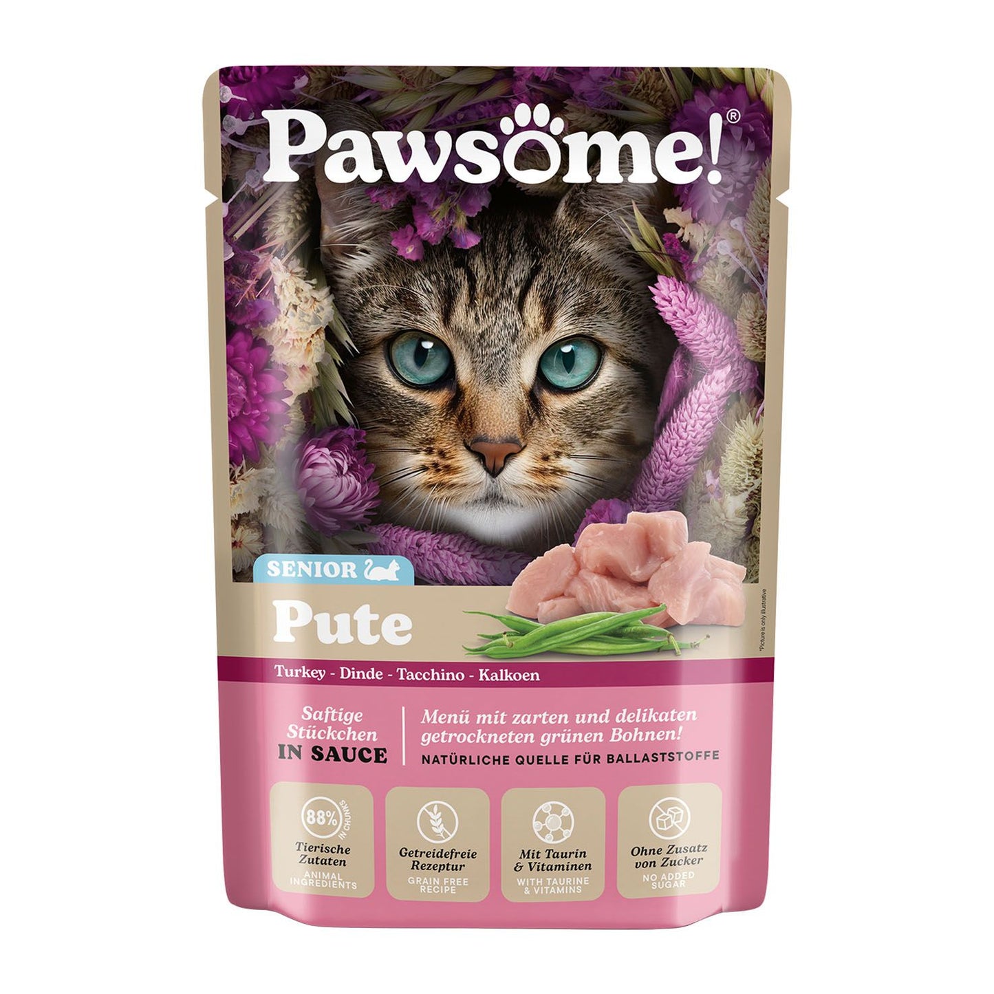 Pawsome Senior Pute