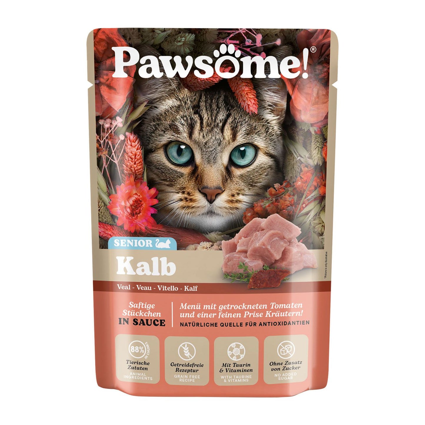 Pawsome Senior Kalb